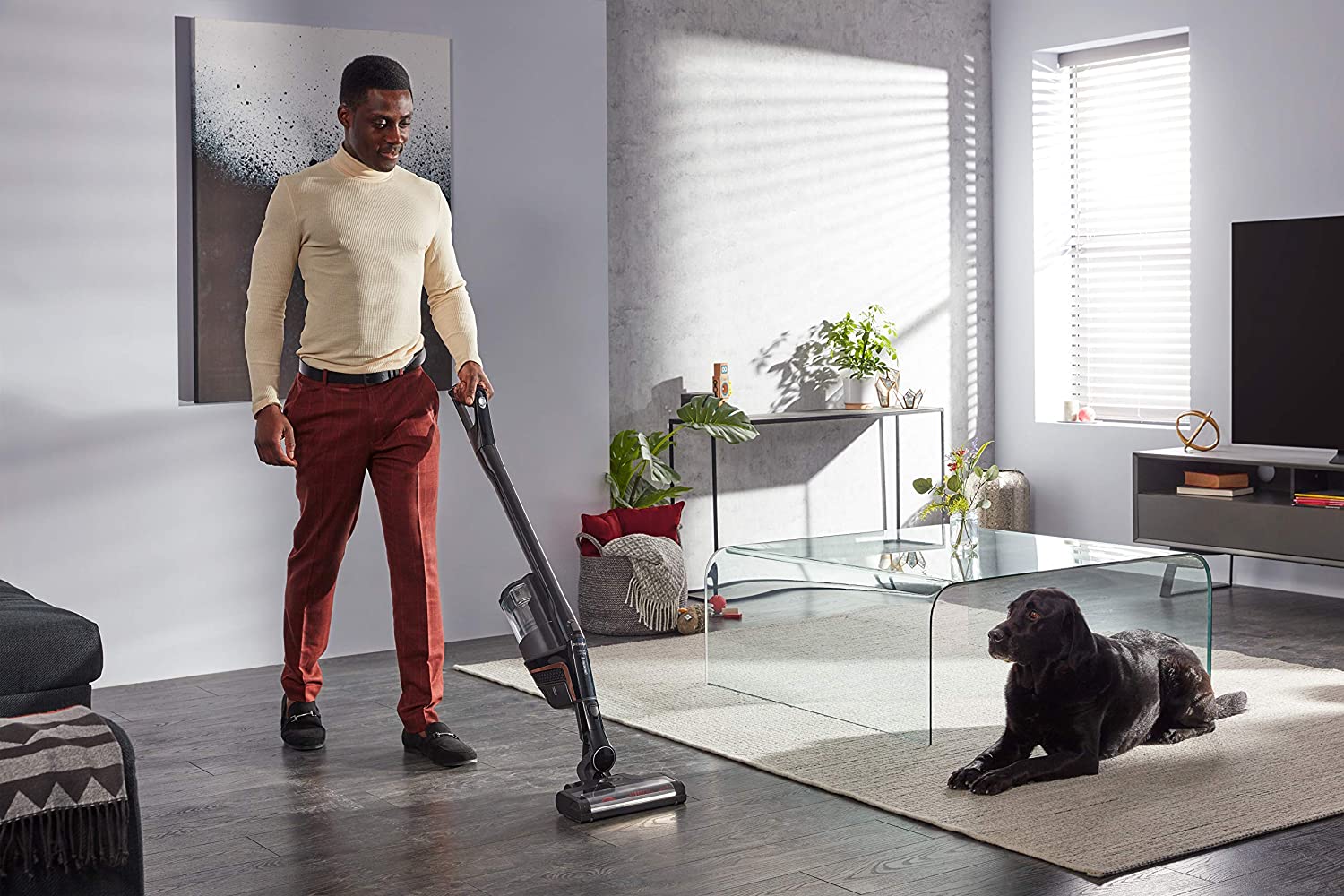 ᐅᐅ Miele Cordless Hoover What the 3in1 battery hoover can do