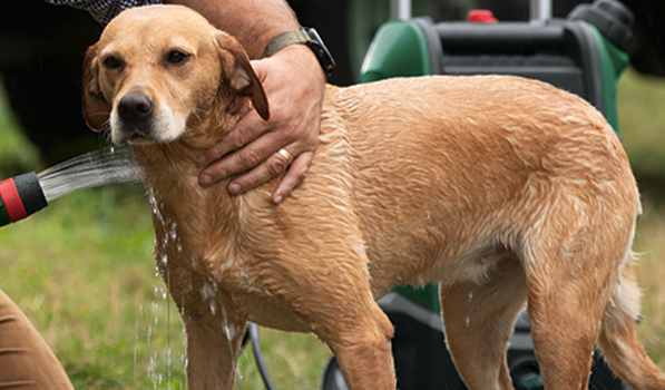 Bosch Fontus Gen 2 Test